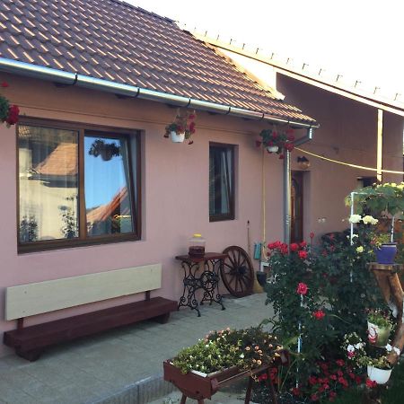 Villa Casa Rustica Cu Terasa Mediaş Esterno foto