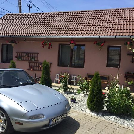 Villa Casa Rustica Cu Terasa Mediaş Esterno foto