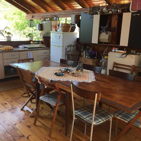 Villa Casa Rustica Cu Terasa Mediaş Esterno foto