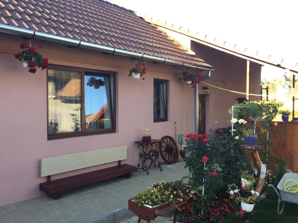 Villa Casa Rustica Cu Terasa Mediaş Esterno foto