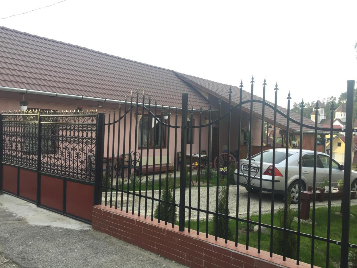 Villa Casa Rustica Cu Terasa Mediaş Esterno foto