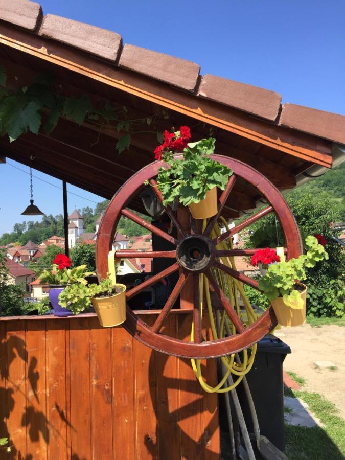 Villa Casa Rustica Cu Terasa Mediaş Esterno foto