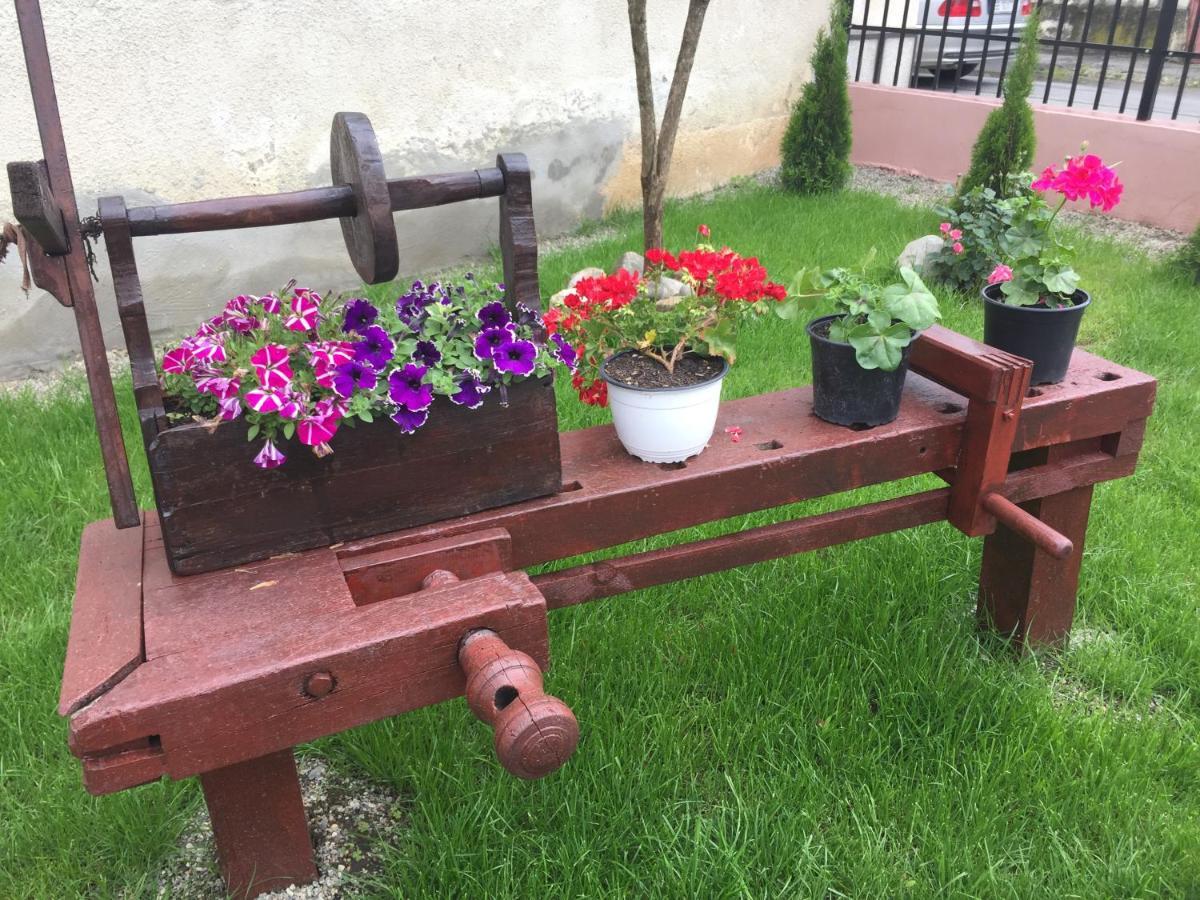 Villa Casa Rustica Cu Terasa Mediaş Esterno foto