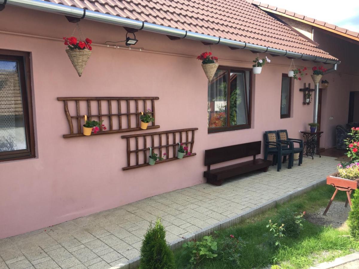 Villa Casa Rustica Cu Terasa Mediaş Esterno foto