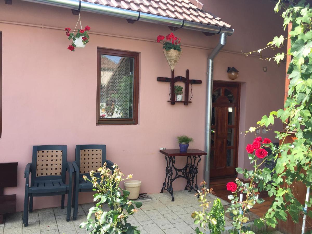 Villa Casa Rustica Cu Terasa Mediaş Esterno foto