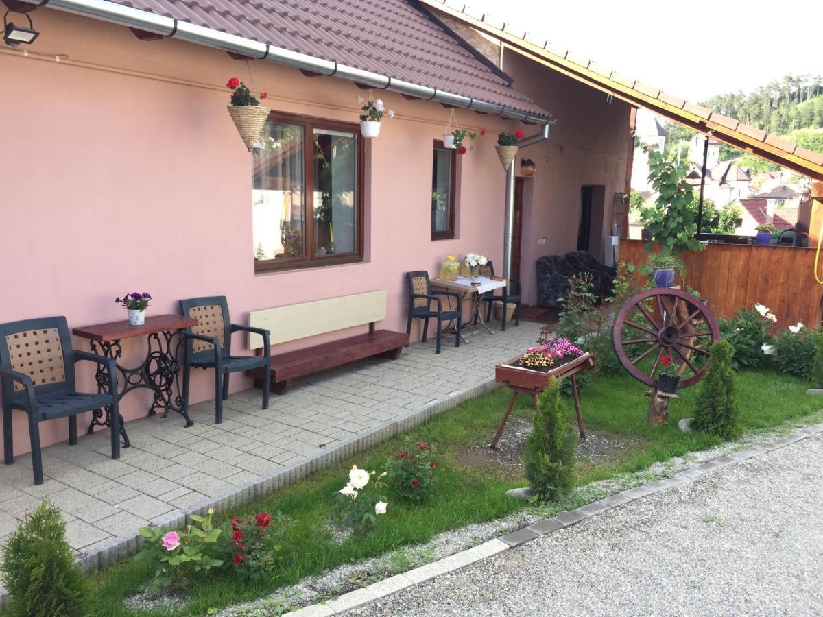 Villa Casa Rustica Cu Terasa Mediaş Esterno foto
