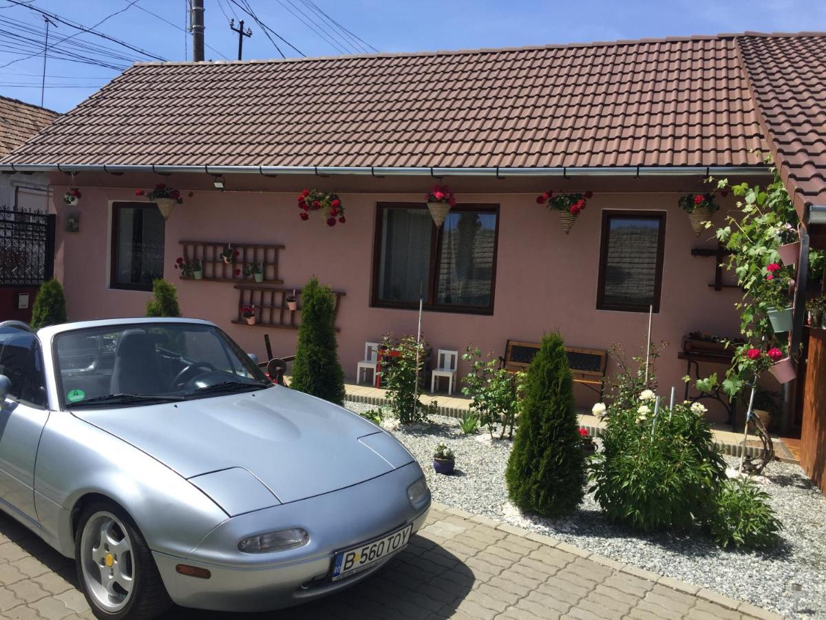 Villa Casa Rustica Cu Terasa Mediaş Esterno foto