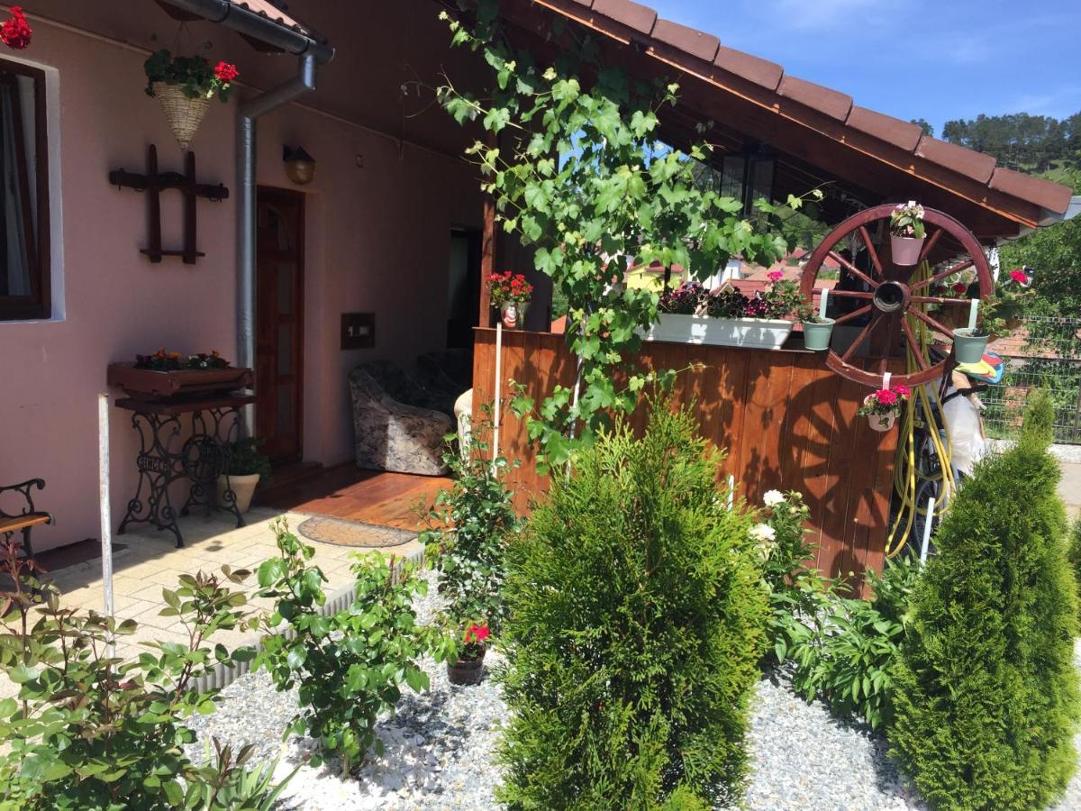 Villa Casa Rustica Cu Terasa Mediaş Esterno foto