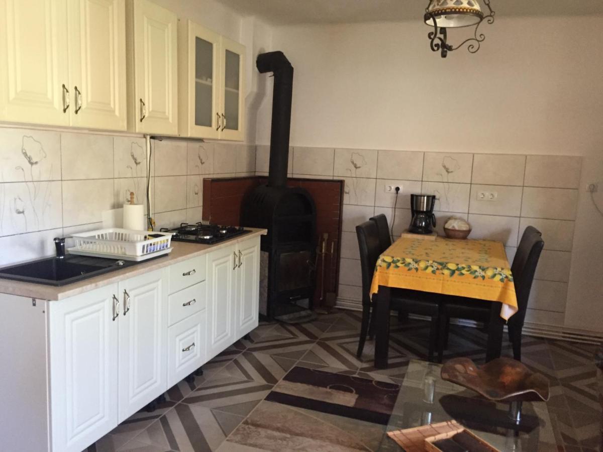 Villa Casa Rustica Cu Terasa Mediaş Esterno foto