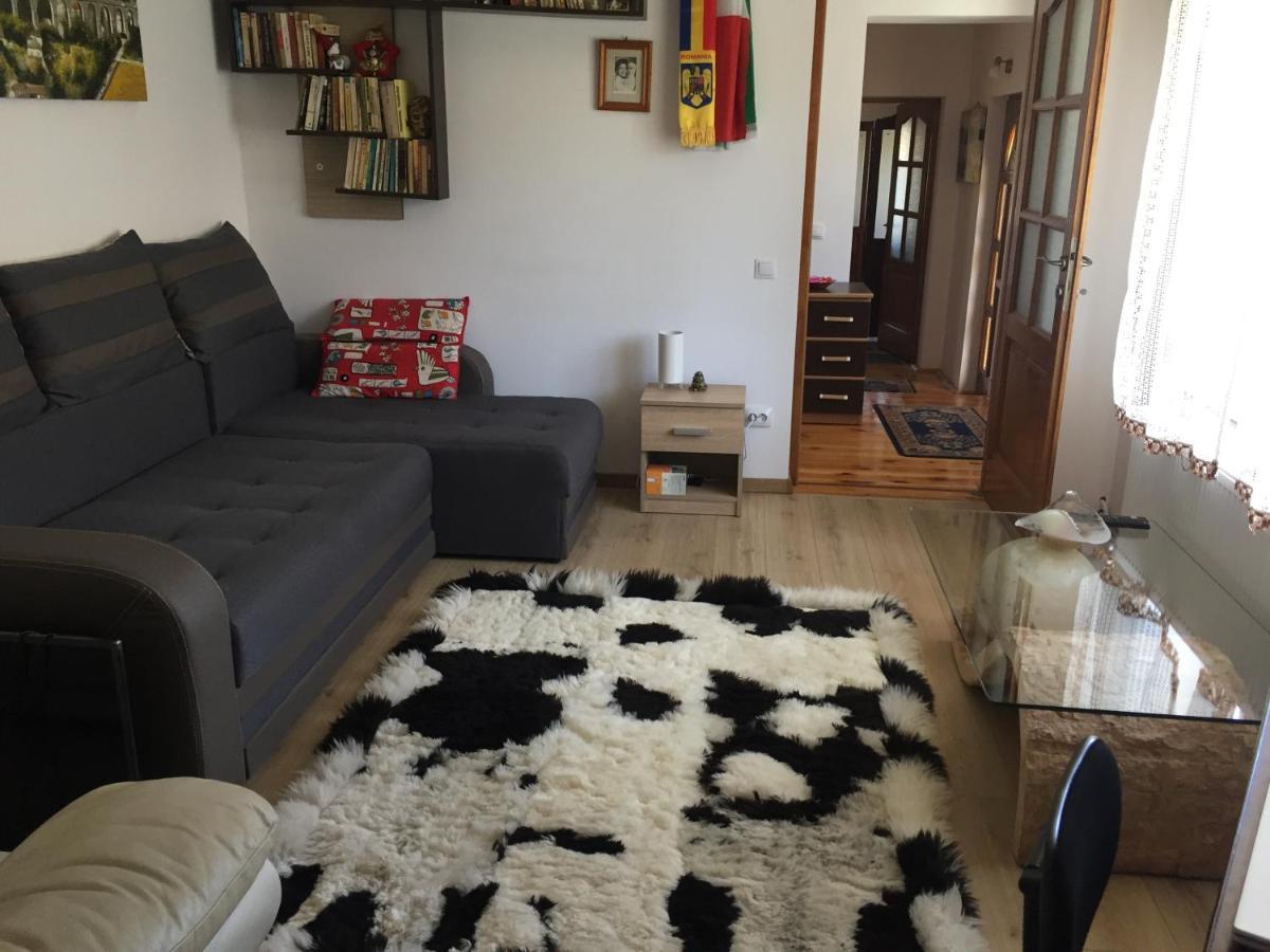 Villa Casa Rustica Cu Terasa Mediaş Esterno foto